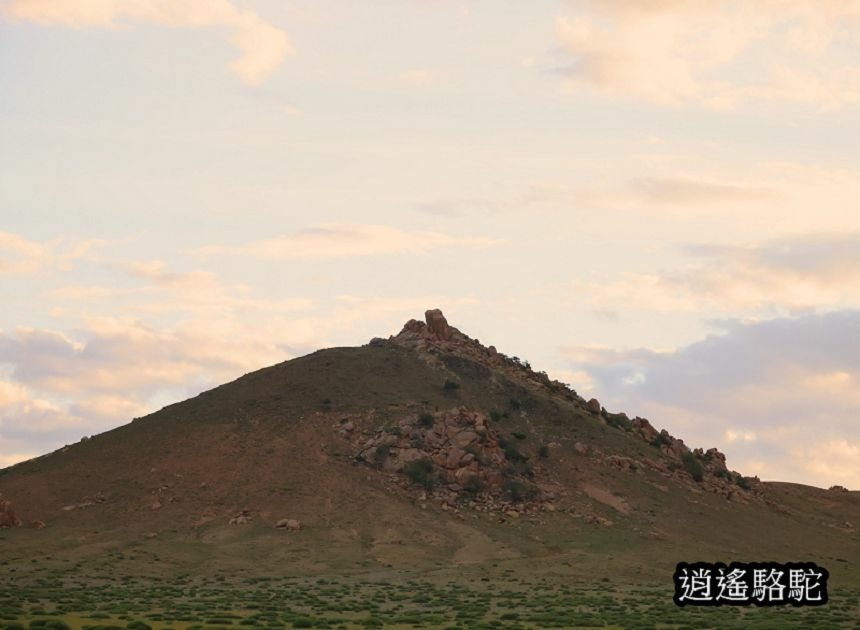 夜裡邂逅刺蝟貓Hoyor Zagal Lodge -蒙古駱駝