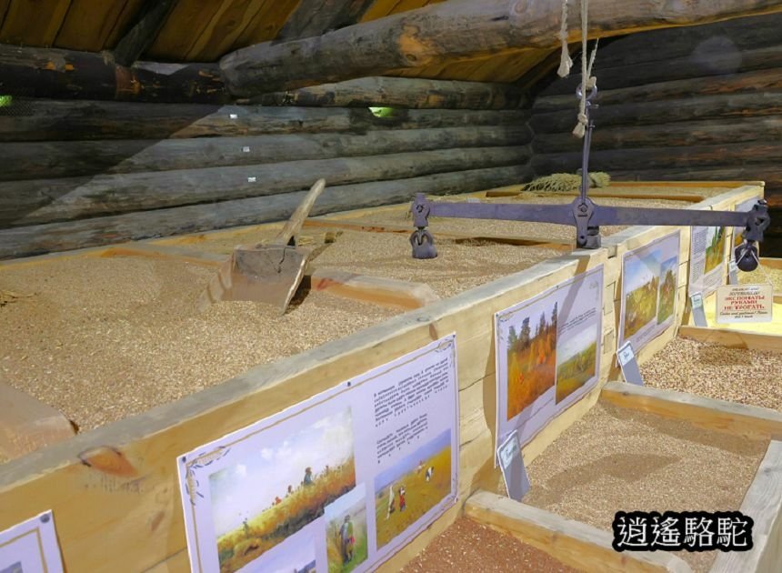 塔利茨木造建築博物館Taltsy Museum-俄羅斯駱駝