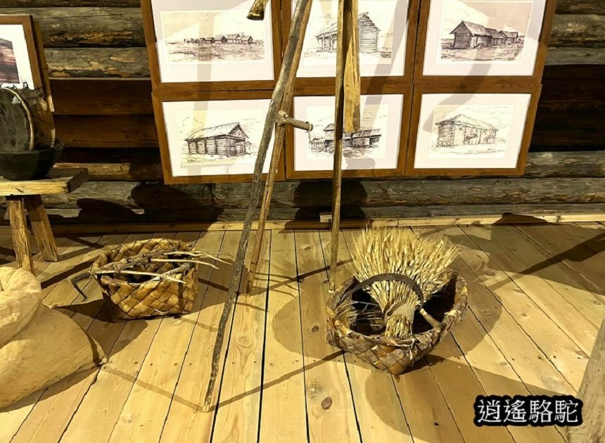 塔利茨木造建築博物館Taltsy Museum-俄羅斯駱駝