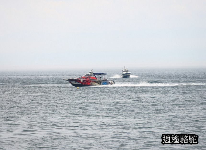 貝加爾湖遊船餵海鷗-俄羅斯駱駝