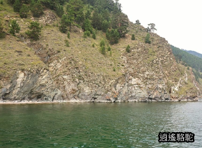 貝加爾湖遊船餵海鷗-俄羅斯駱駝