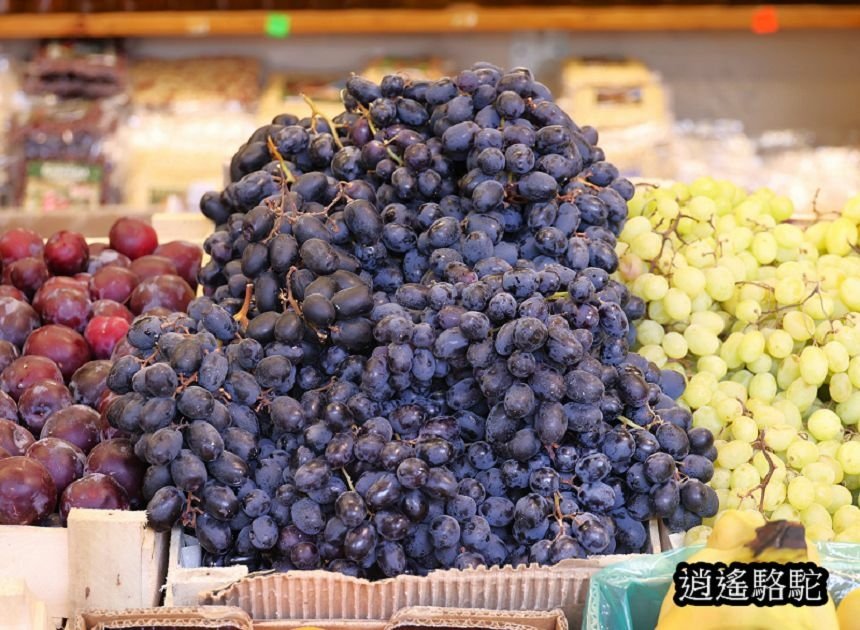 貝加爾湖湖邊市場-俄羅斯駱駝