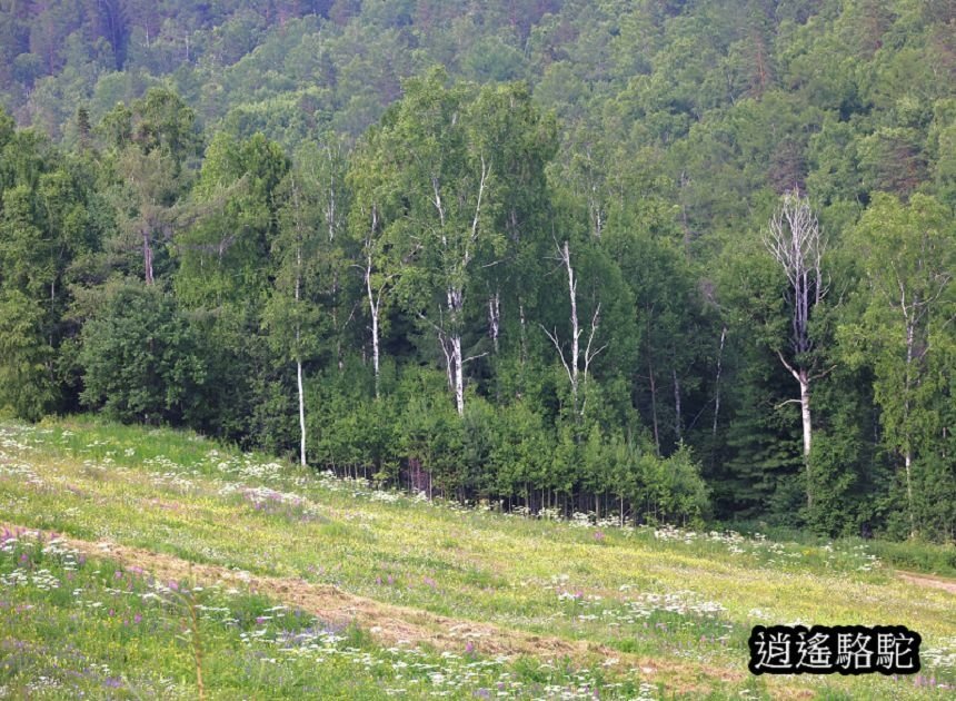搭纜車上山俯視貝加爾湖-俄羅斯駱駝