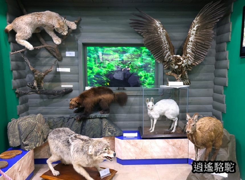 貝加爾湖生態博物館 Baikal Museum -俄羅斯駱駝