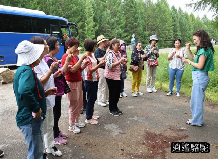 公路旁薩滿教的祭拜點-俄羅斯駱駝