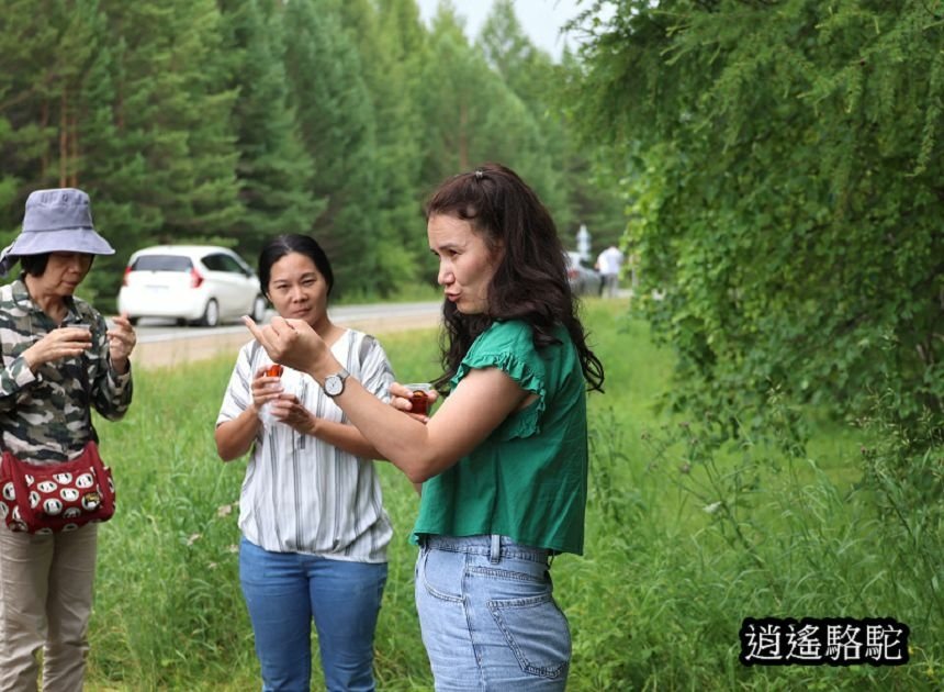 公路旁薩滿教的祭拜點-俄羅斯駱駝