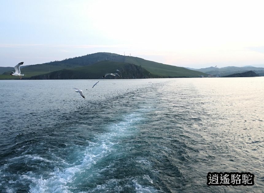 夕陽下渡輪駛往奧利洪島的胡日爾村-俄羅斯駱駝