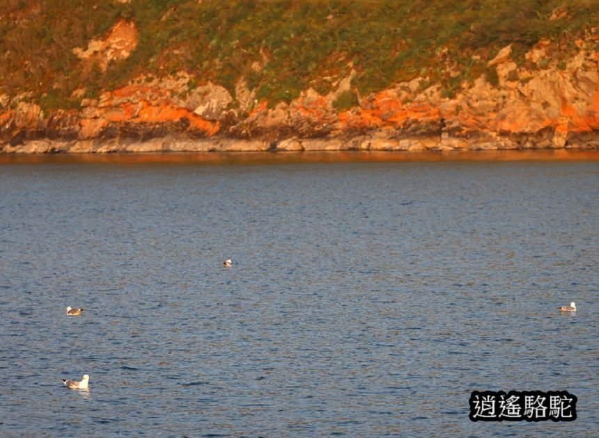 夕陽下渡輪駛往奧利洪島的胡日爾村-俄羅斯駱駝