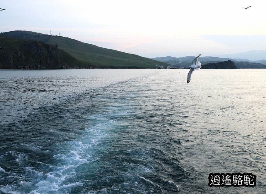 夕陽下渡輪駛往奧利洪島的胡日爾村-俄羅斯駱駝