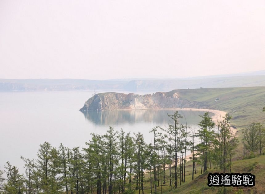 哈蘭茨的鱷魚與獅子-俄羅斯駱駝