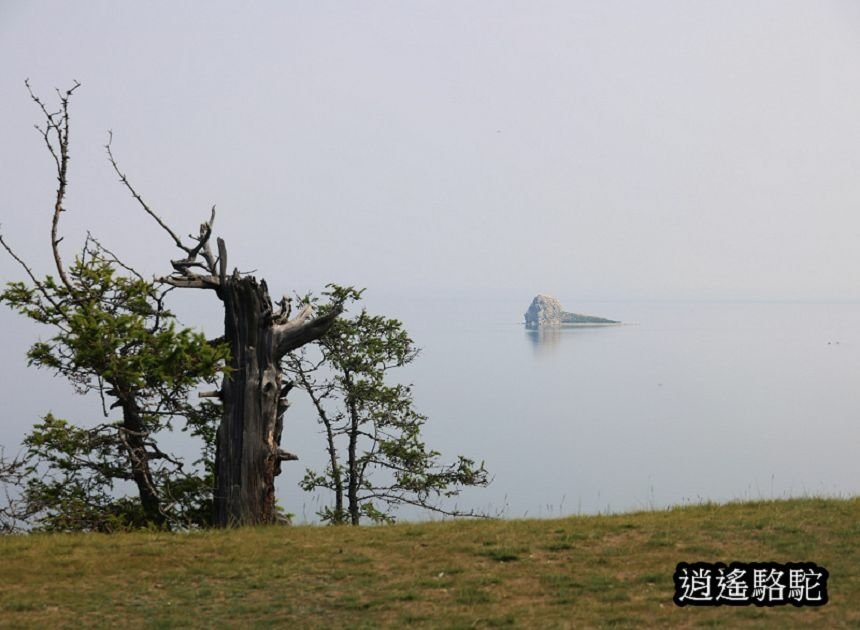 哈蘭茨的鱷魚與獅子-俄羅斯駱駝