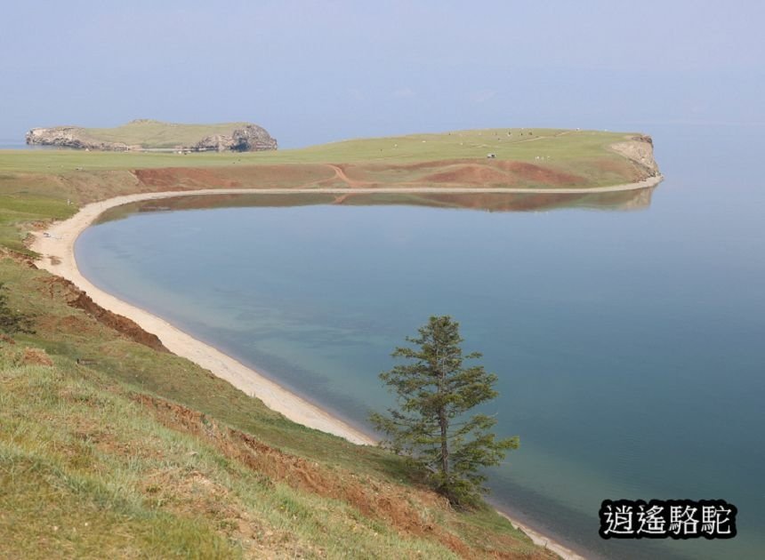 哈蘭茨的鱷魚與獅子-俄羅斯駱駝