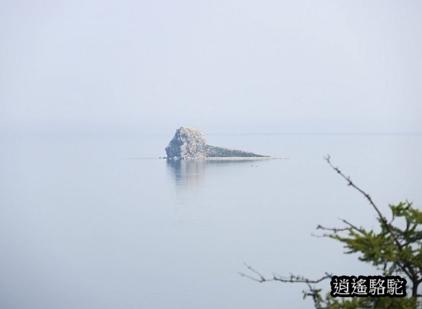 哈蘭茨的鱷魚與獅子-俄羅斯駱駝