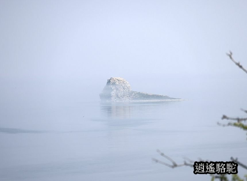 哈蘭茨的鱷魚與獅子-俄羅斯駱駝