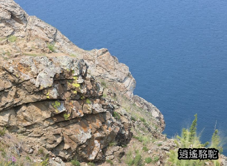 在合波角 Cape Burhan的足跡-俄羅斯駱駝