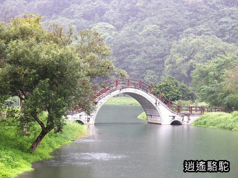 大雨中的吉利潭-花蓮駱駝