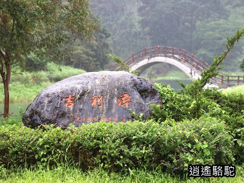 大雨中的吉利潭-花蓮駱駝