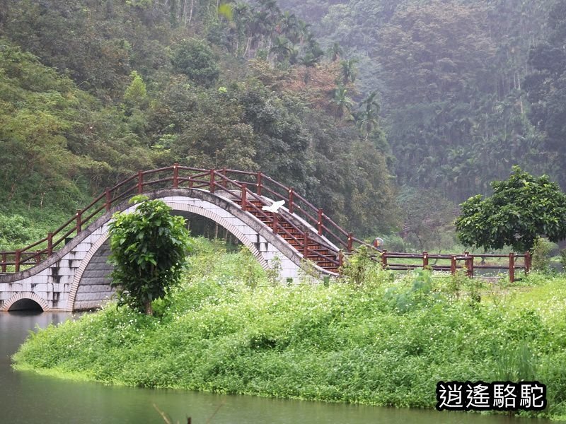 大雨中的吉利潭-花蓮駱駝