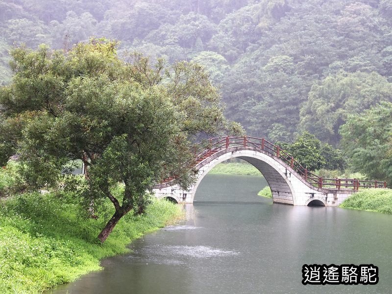 大雨中的吉利潭-花蓮駱駝