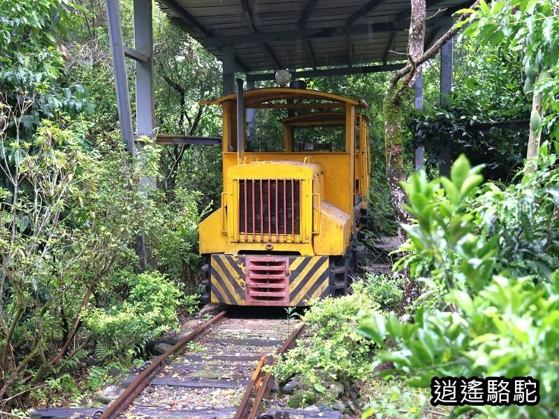 滂沱大雨來到盛夏的軌跡-花蓮駱駝