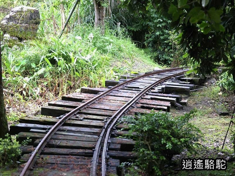 滂沱大雨來到盛夏的軌跡-花蓮駱駝