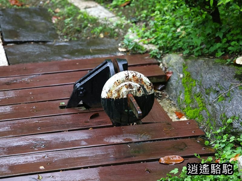 滂沱大雨來到盛夏的軌跡-花蓮駱駝