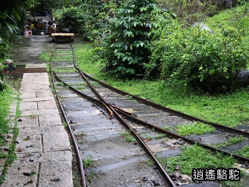 滂沱大雨來到盛夏的軌跡-花蓮駱駝