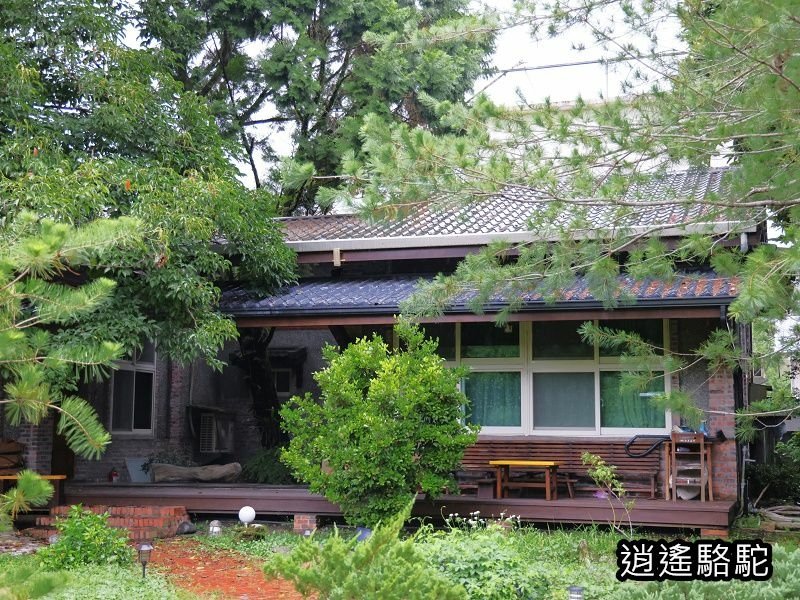 滂沱大雨來到盛夏的軌跡-花蓮駱駝