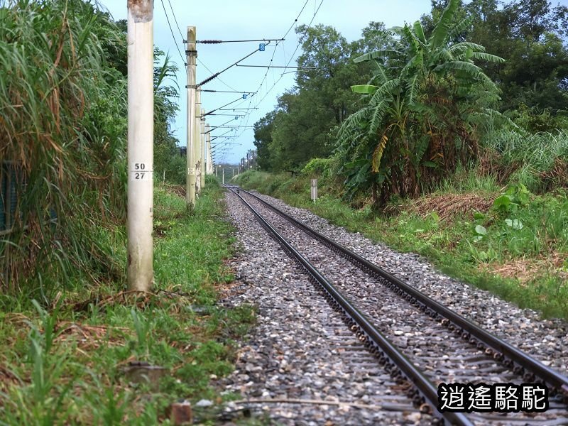 天黑前雨中的大富車站-花蓮駱駝