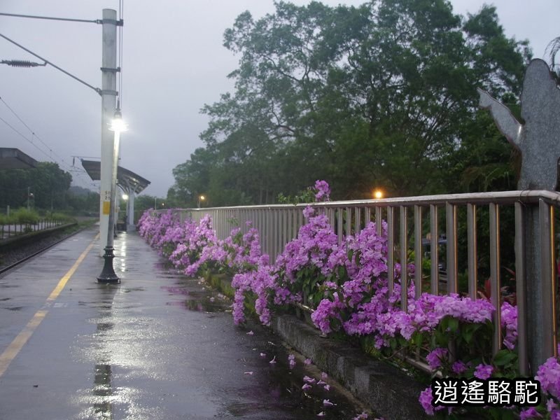 天黑前雨中的大富車站-花蓮駱駝