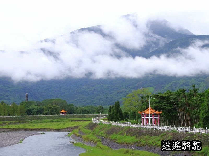 馬太鞍橋水牛不見-花蓮駱駝