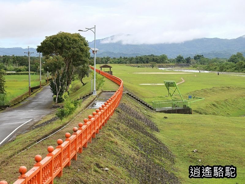 馬太鞍橋水牛不見-花蓮駱駝