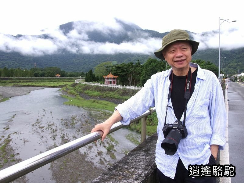 馬太鞍橋水牛不見-花蓮駱駝