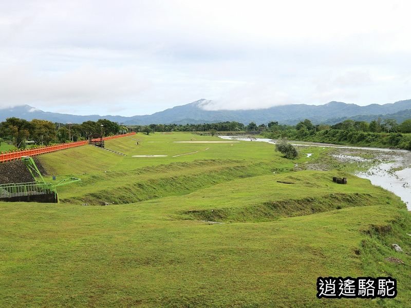 馬太鞍橋水牛不見-花蓮駱駝