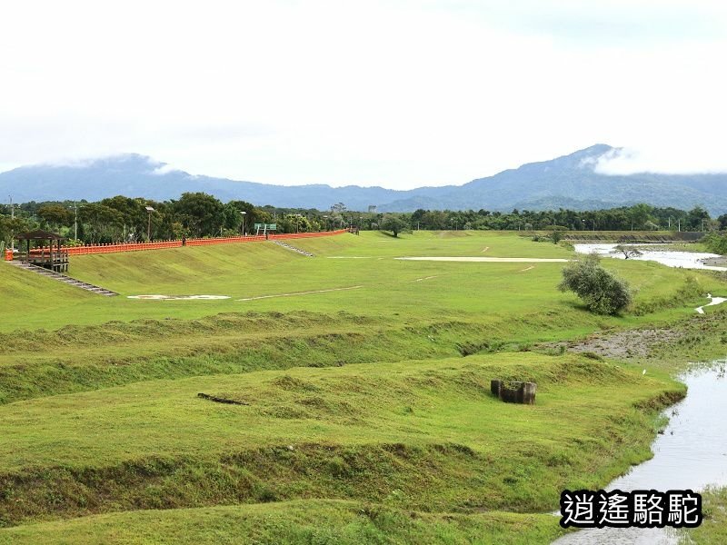 馬太鞍橋水牛不見-花蓮駱駝