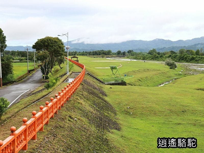 馬太鞍橋水牛不見-花蓮駱駝