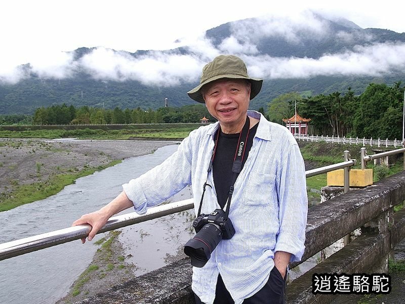 馬太鞍橋水牛不見-花蓮駱駝