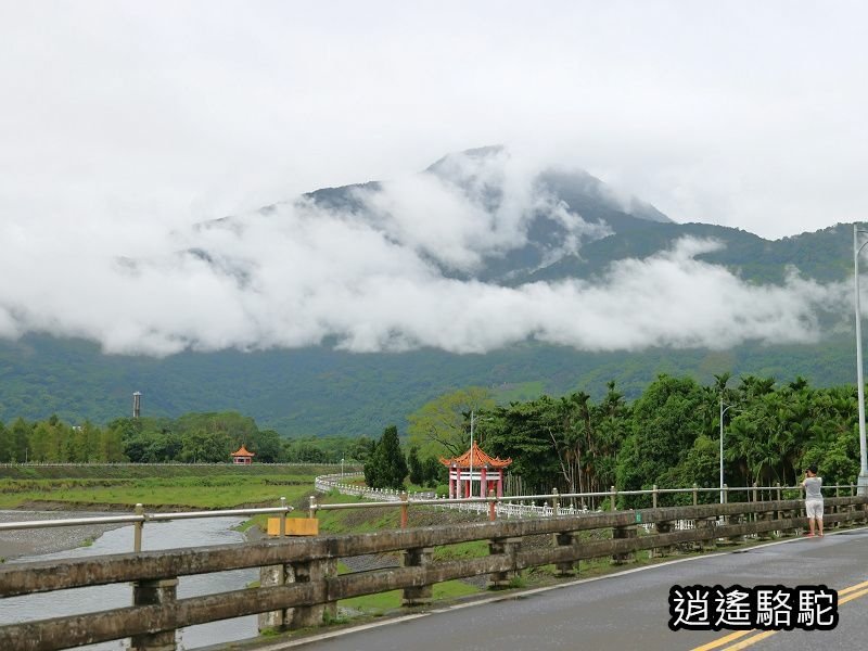 馬太鞍橋水牛不見-花蓮駱駝