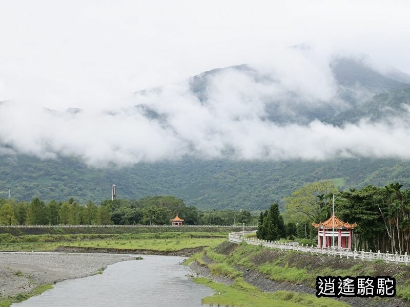 馬太鞍橋水牛不見-花蓮駱駝