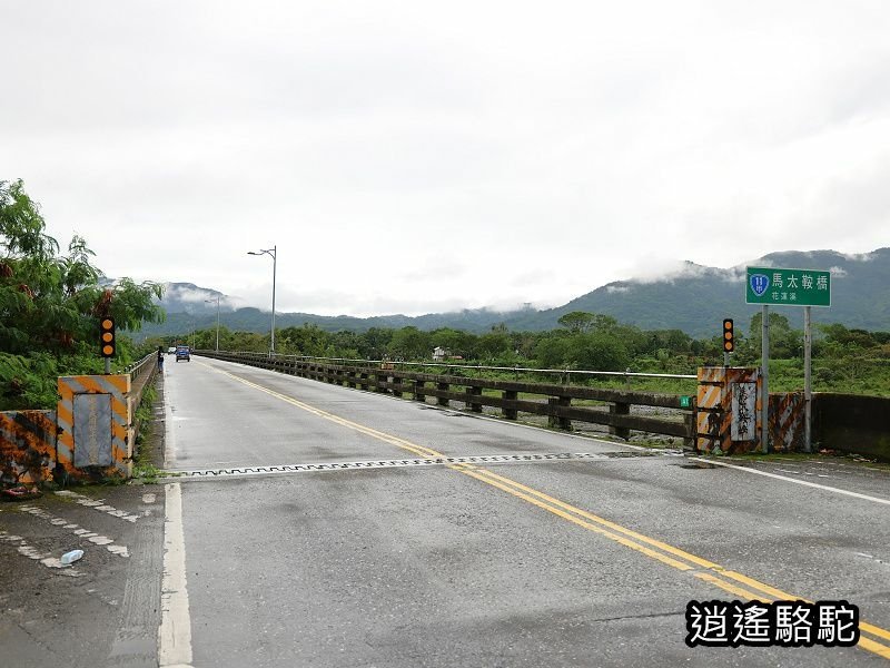 馬太鞍橋水牛不見-花蓮駱駝