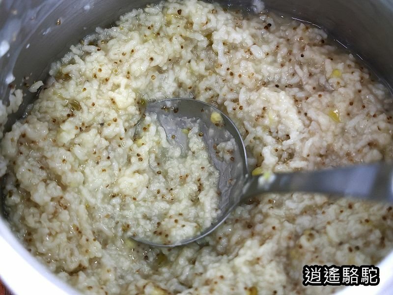 馬太鞍橋水牛不見-花蓮駱駝