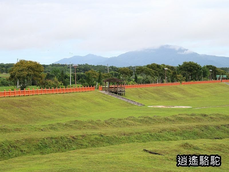 馬太鞍橋水牛不見-花蓮駱駝