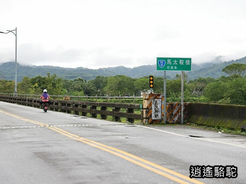 馬太鞍橋水牛不見-花蓮駱駝