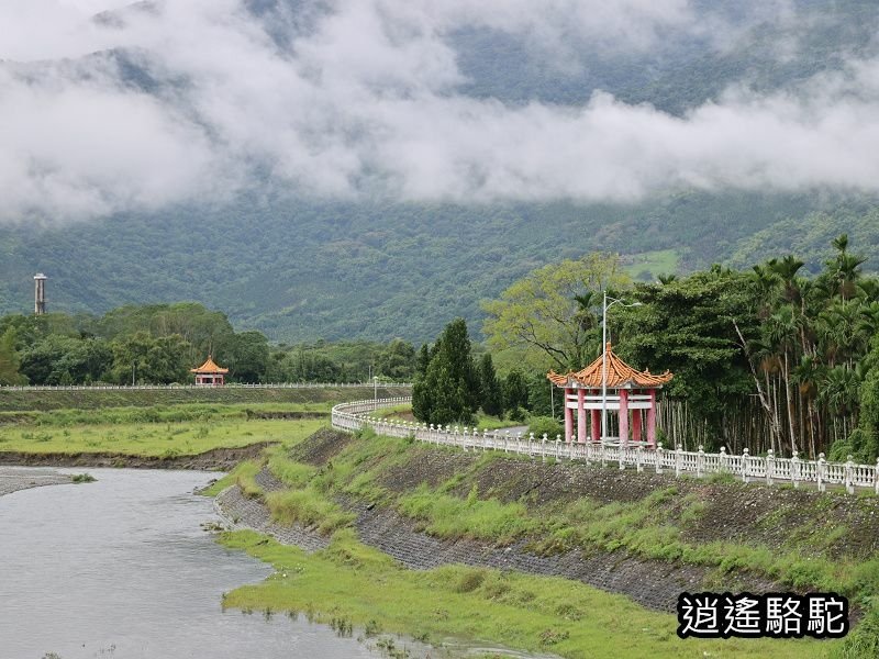 馬太鞍橋水牛不見-花蓮駱駝