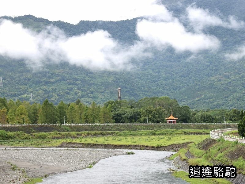 馬太鞍橋水牛不見-花蓮駱駝