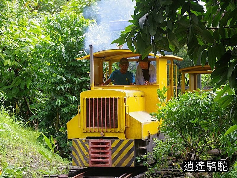 盛夏的軌跡搭小火車-花蓮駱駝