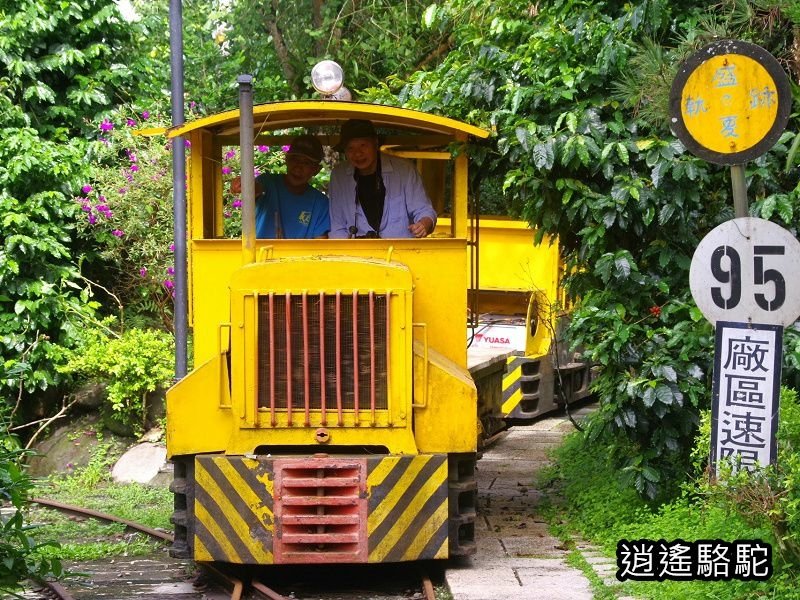 盛夏的軌跡搭小火車-花蓮駱駝