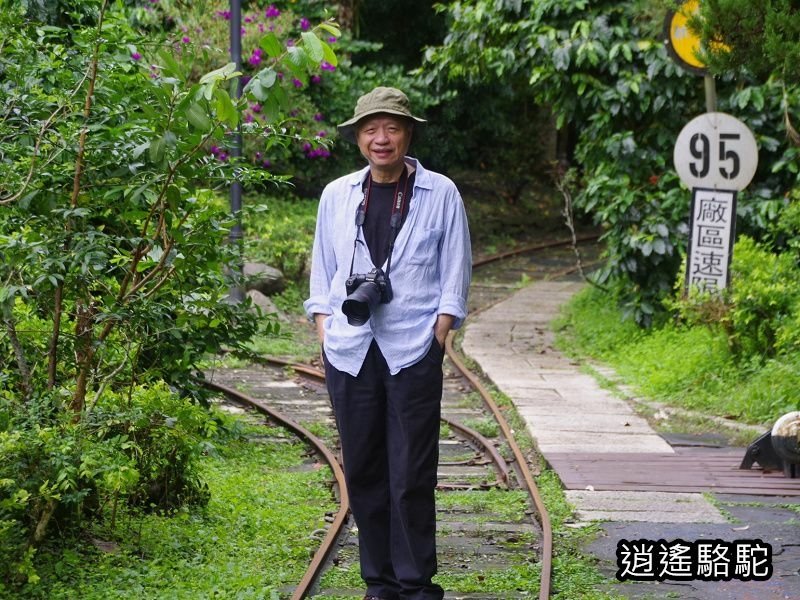 盛夏的軌跡搭小火車-花蓮駱駝