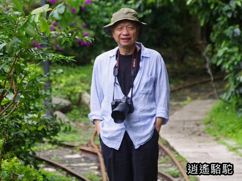 盛夏的軌跡搭小火車-花蓮駱駝