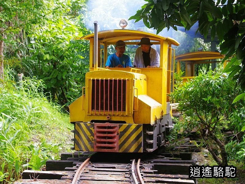 盛夏的軌跡搭小火車-花蓮駱駝